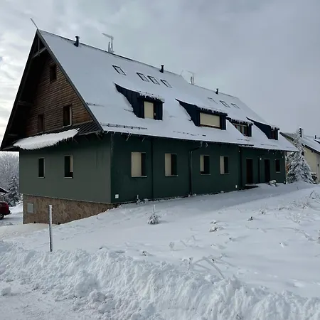 Srdecni Zalezitost *