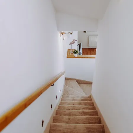 Srdeční Záležitost * Boží Dar