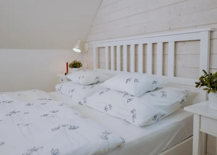 Srdecni Zalezitost Semesterbostad