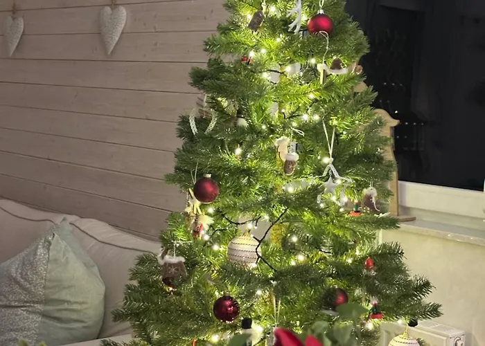 Srdecni Zalezitost Semesterbostad